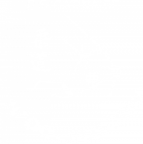 Logo ESG Judo